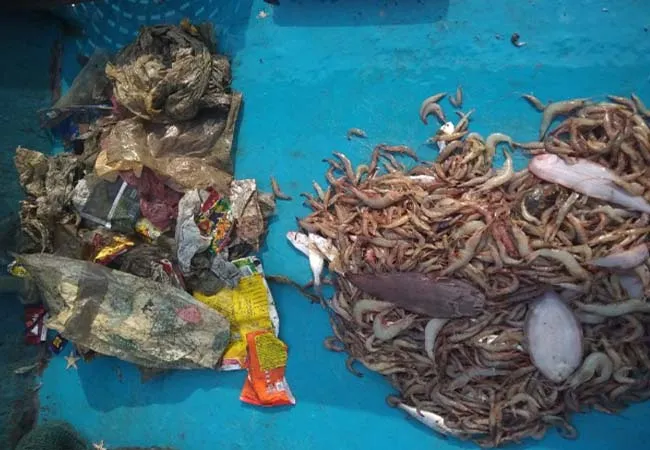  Marine pollution plastics  Kerala youth alert awareness 